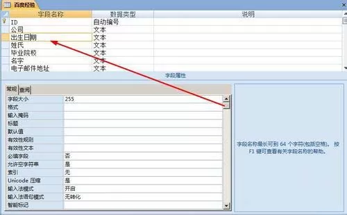 access单元格如何设置输入掩码格式?