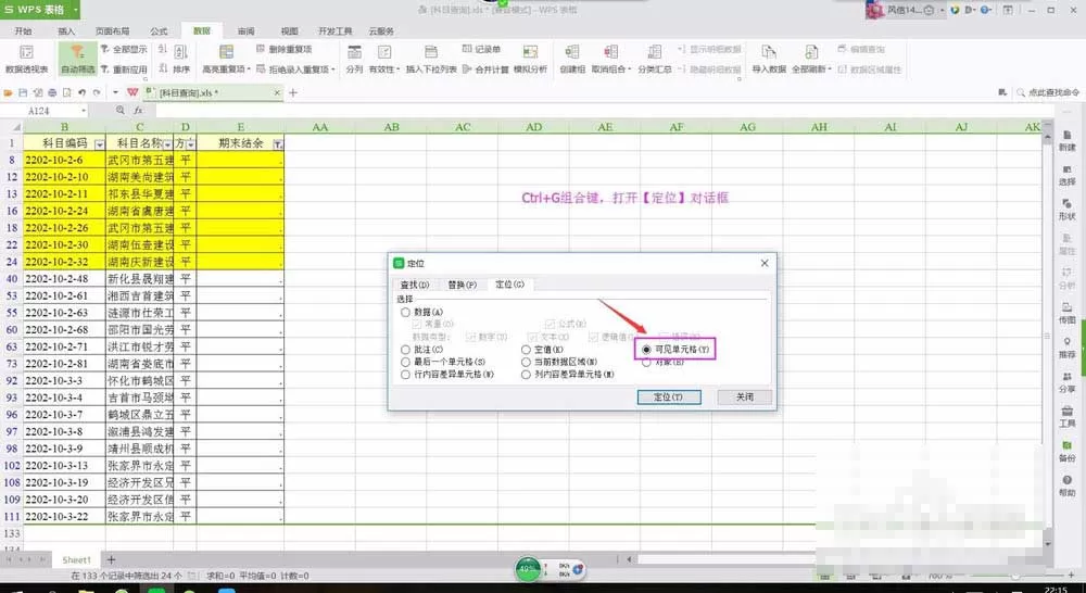 批量去除wps表格无用行的操作教程
