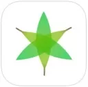 青果APP出现打不开的详细处理流程