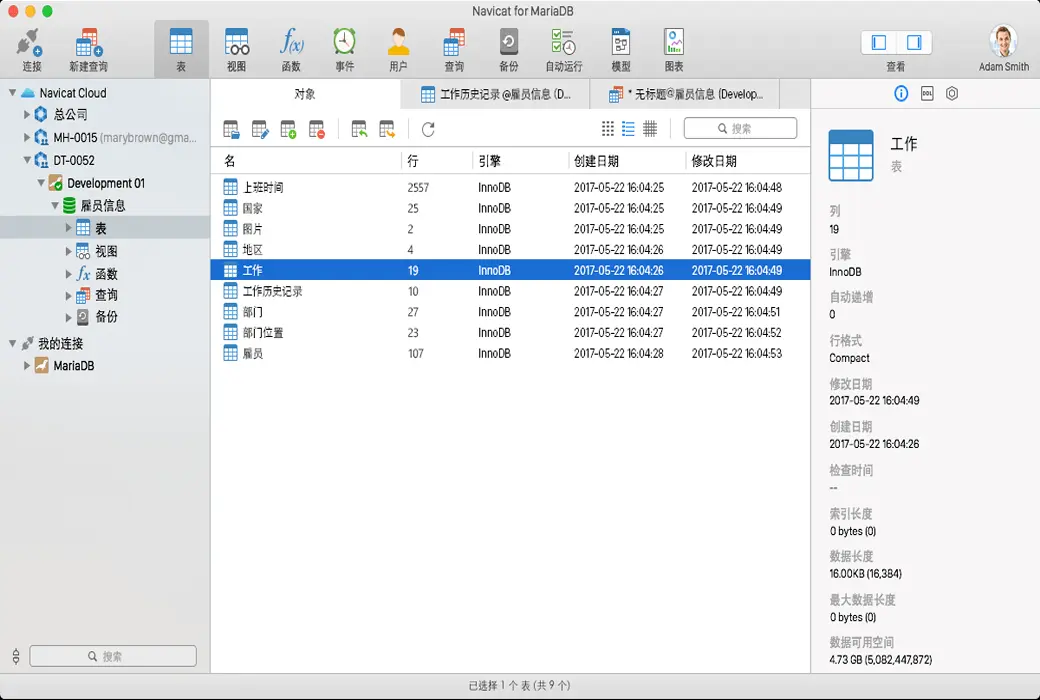 Navicat for MariaDB 数据库管理工具