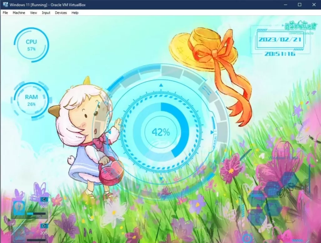 Windows 11 (中国定制版)