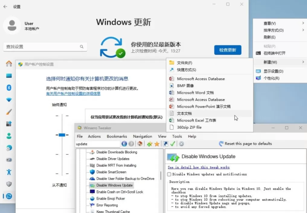 Windows 11 (中国定制版)